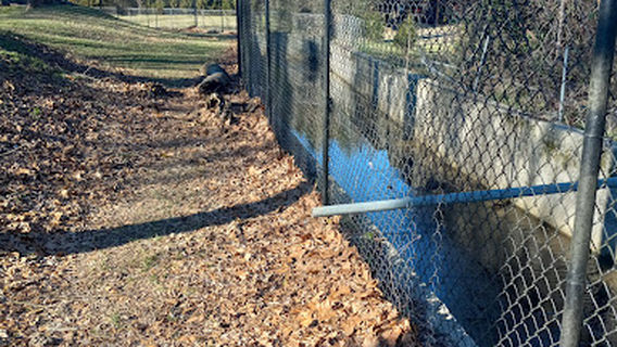 Cahaba Dog Park