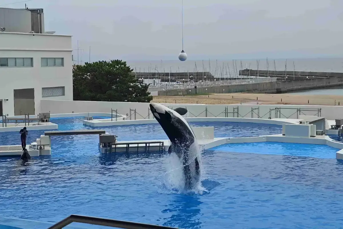 고베