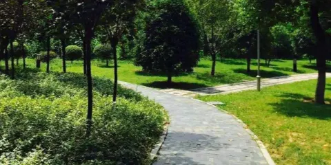 市政公園