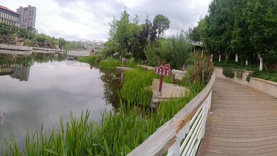 Yushun Lake Park