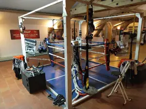 Boxons Multi boxe