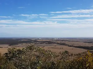 Archer Drive Lookout