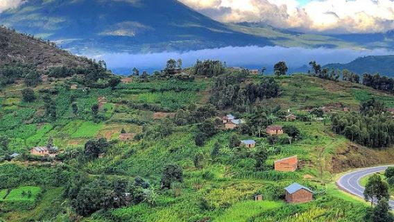 Muhavura Volcano