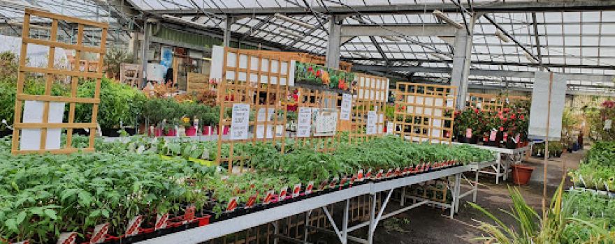 Jardinerie des 4 Saisons