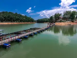 DERMAGA TEPIAN MAHLIGAI DESA PULAU GADANG