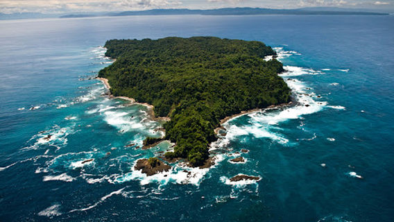 Ballena Tour Costa Rica