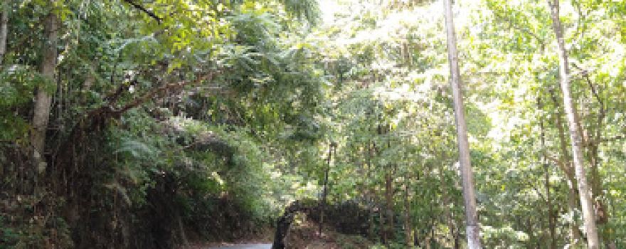 Cagar Alam Karaengta. Maros