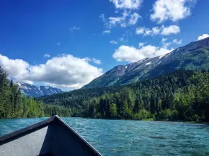Cooper Landing Fishing Guide
