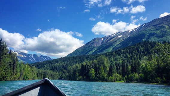 Cooper Landing Fishing Guide