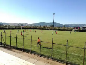 Estadio Nilahue