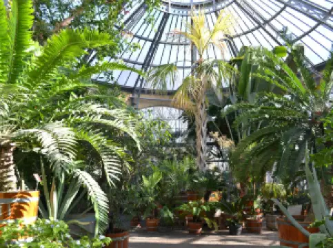 Hortus Botanicus Amsterdam