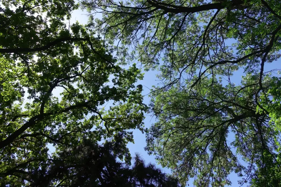 4_Botanic Park