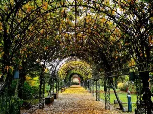 International Garden Festival