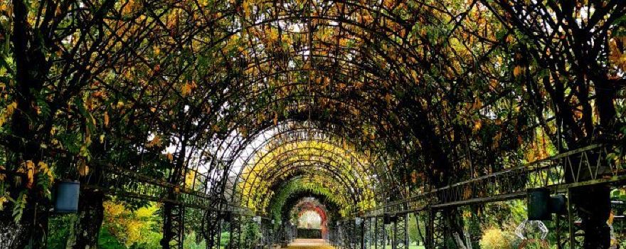 International Garden Festival