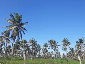 Atalaia Beach