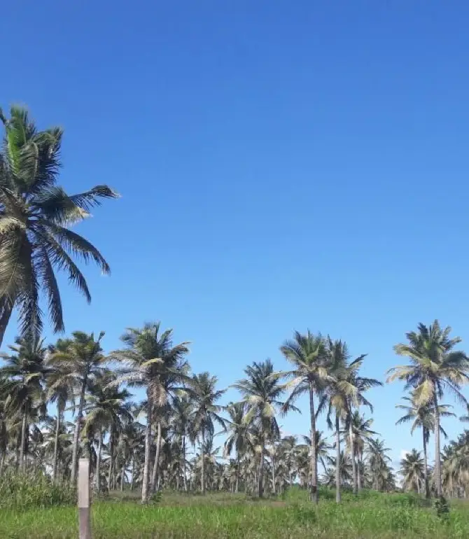 Salinopolis