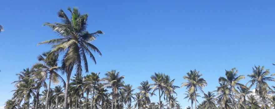 Atalaia Beach