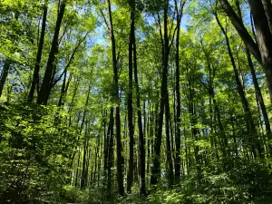 Rattlesnake Point Conservation Area (Reservations Required)