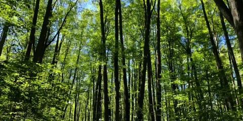 響尾蛇點保護區