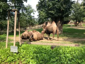 Zoo Brno