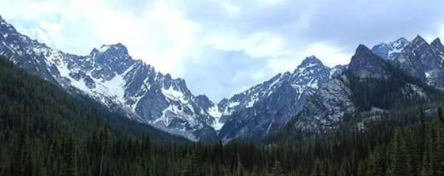 Okanogan-Wenatchee National Forest