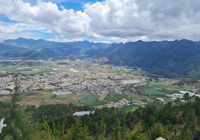 Constanza
