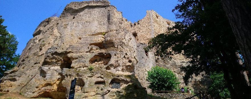 Castle Ruins Valečov