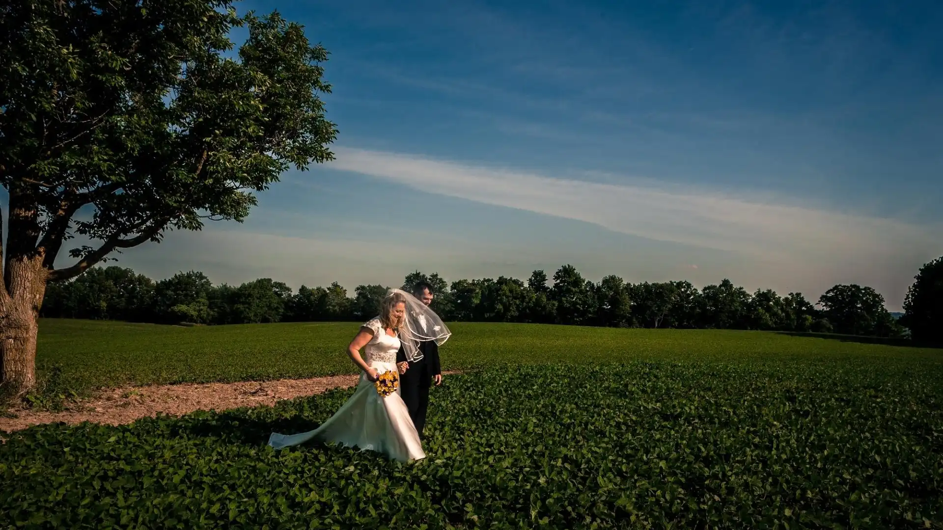 Hotels near Dyment's Glen Drummond Farm