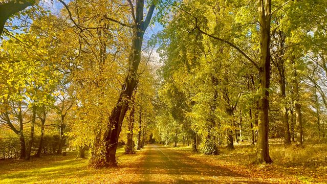 Camperdown Country Park