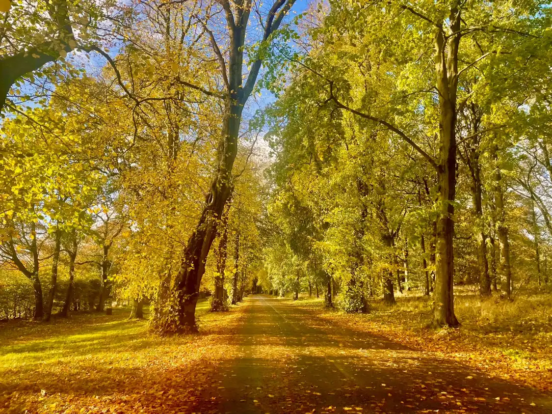 Hotels near Camperdown Country Park