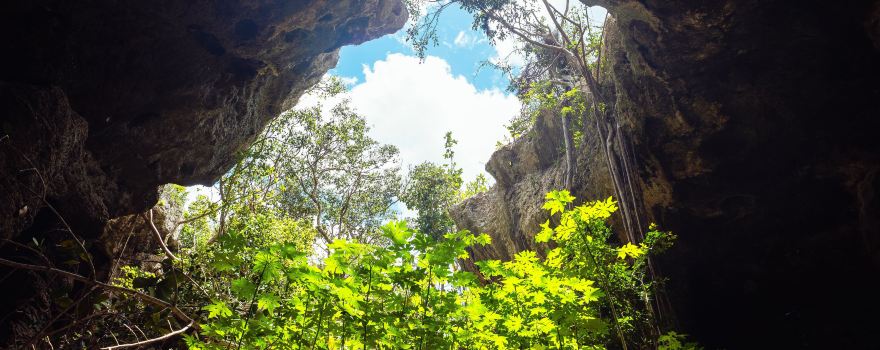 Conch Bar Caves