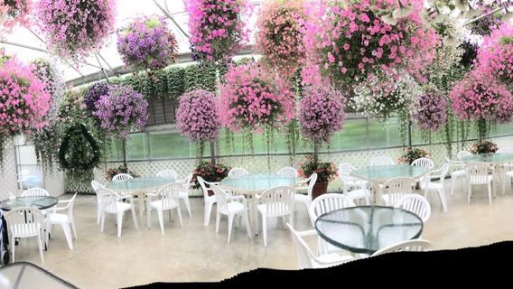 Glacier Gardens Rainforest Adventure