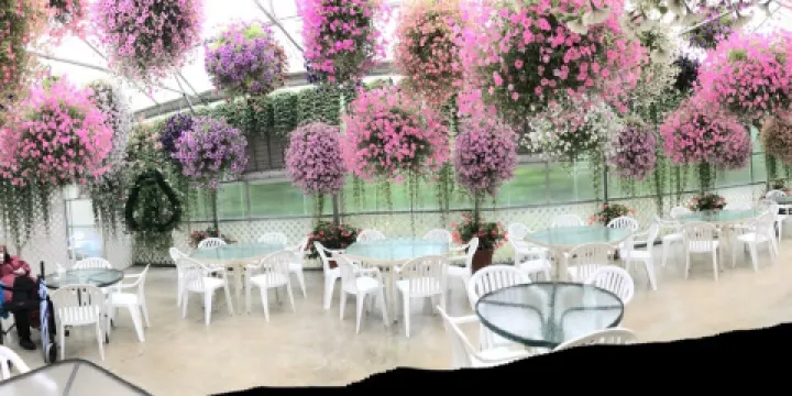 Glacier Gardens Rainforest Adventure