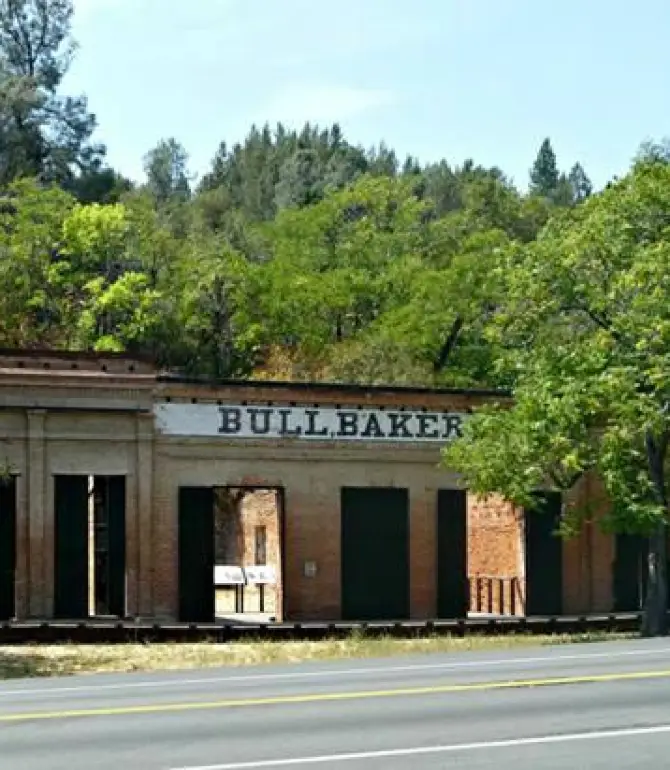 Shasta