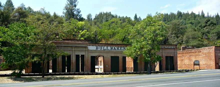 Shasta
