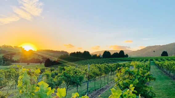Crooked River Estate