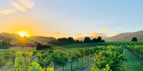 Crooked River Winery Restaurant