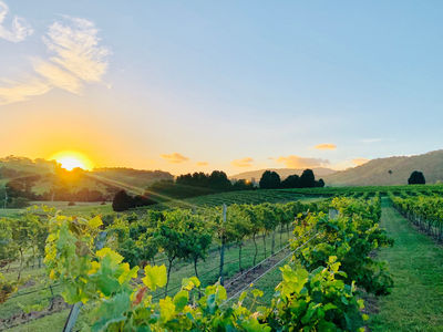 Crooked River Estate