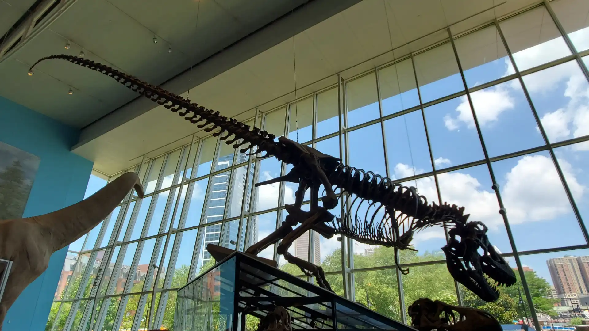 メリーランド科学館周辺のホテル