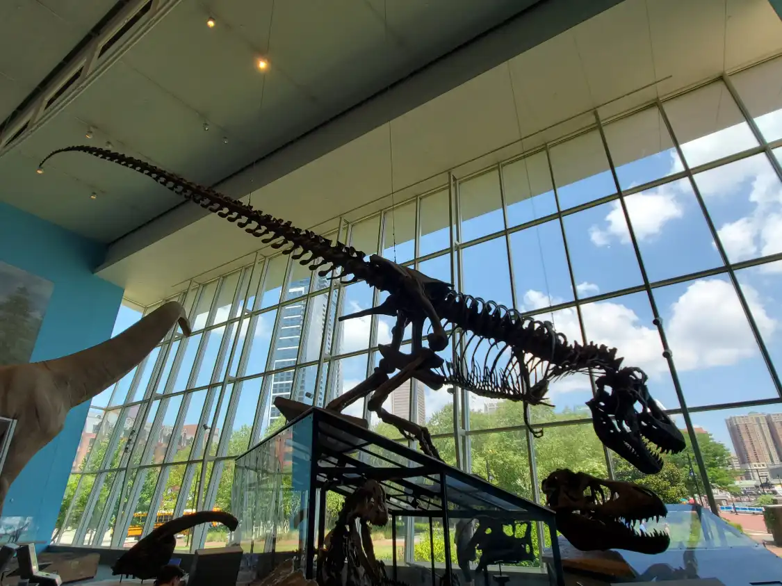 Hotels near Maryland Science Center