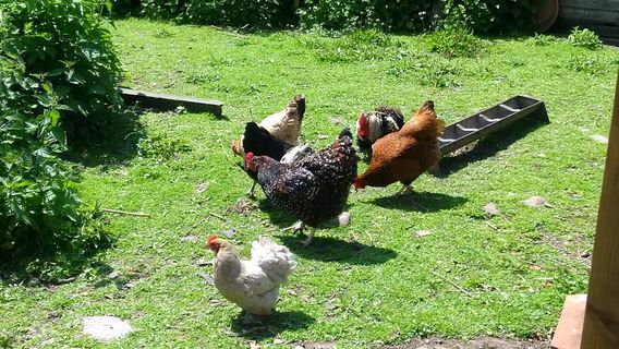 Clevedon Craft Centre