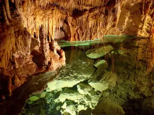 Demanovska Cave of Liberty