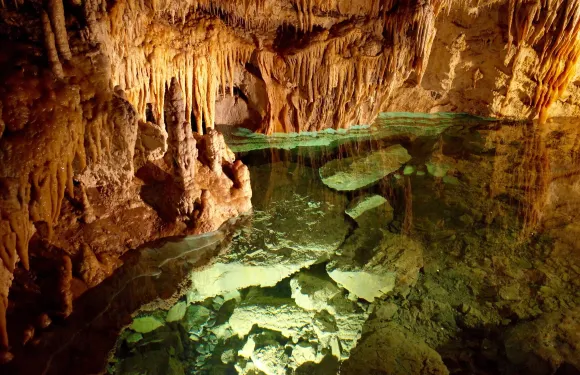 戴姆諾夫斯卡杜萊納