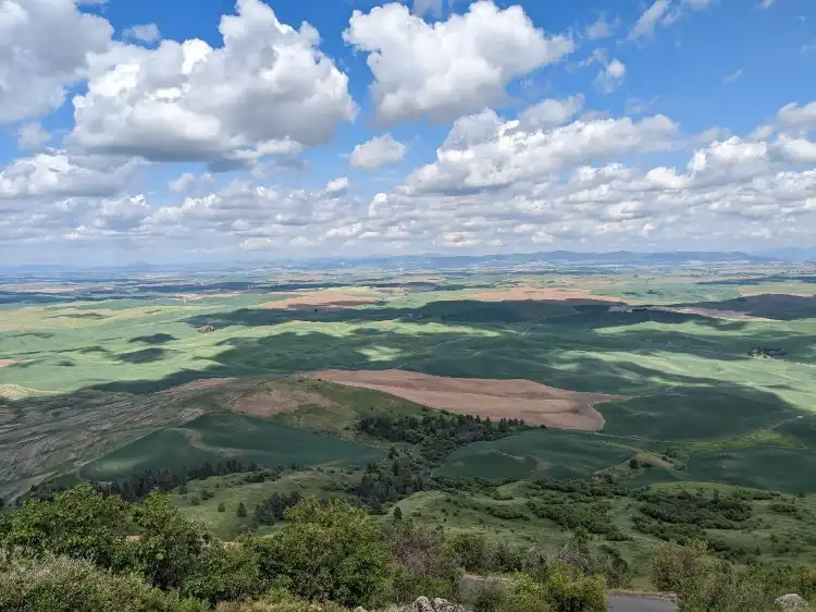 Whitman County