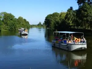 Anjou Sport Nature