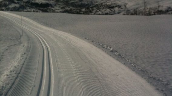 Kvamskogen