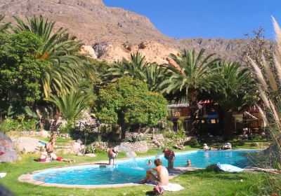 Oasis Sangalle