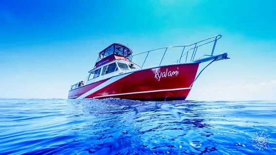 Jupiter Scuba Diving