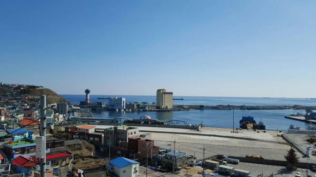 묵호항