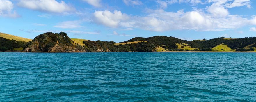 Dive Zone Bay of Islands